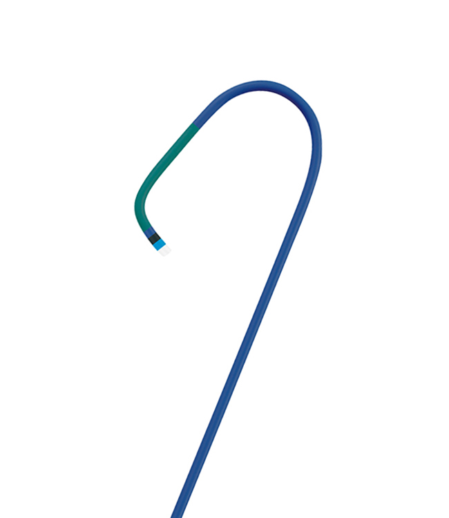 Guide Catheter