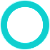 Single Lumen